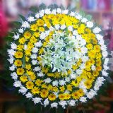 宝安开业花篮