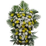 宝安开业花篮